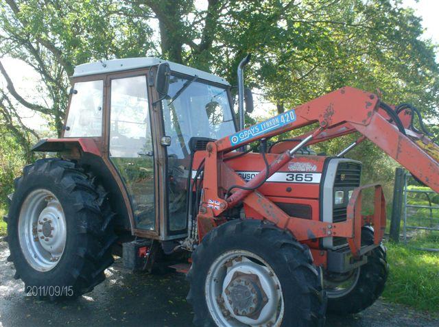 Massey Ferguson 365 Tractor at Ella Agri Tractor Sales Mid and West Wales